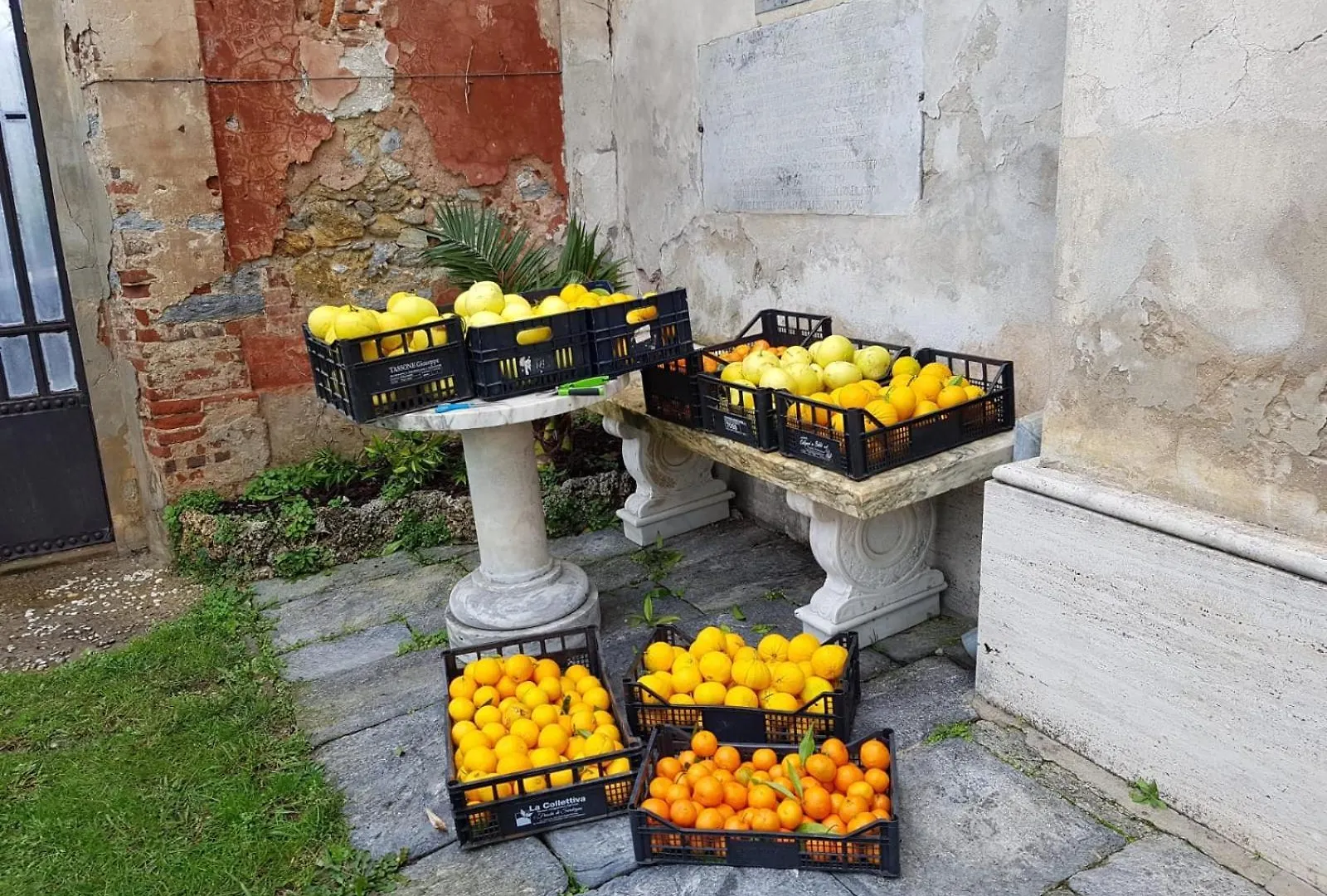 Farm stay Agriturismo Villa Cavallini Camaiore Italy