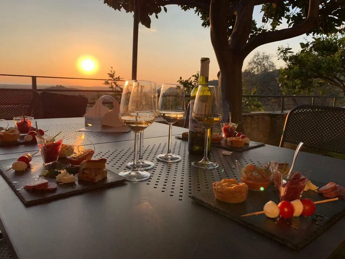 Agriturismo Villa Cavallini Camaiore Farm stay