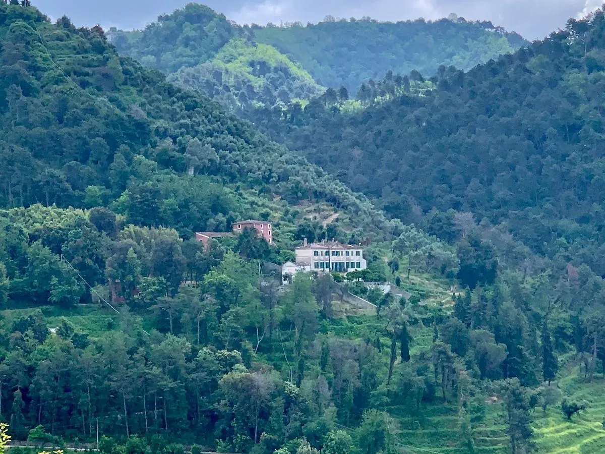 Farm stay Agriturismo Villa Cavallini Camaiore