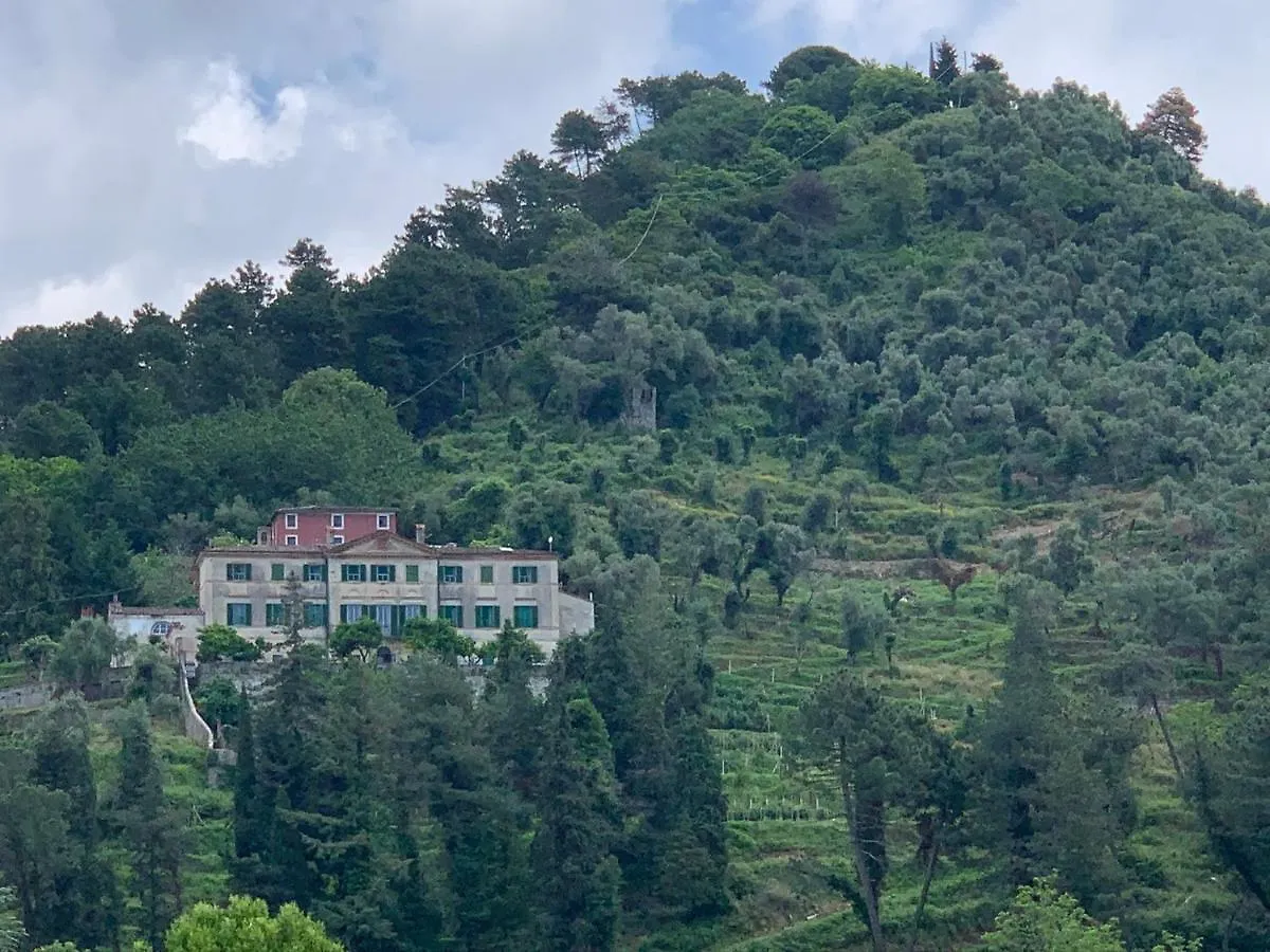 Agriturismo Villa Cavallini Camaiore Italy